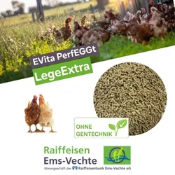 EVita PerfEGGt LegeExtra 20kg, Ergänzungsfuttermittel für Legehennen