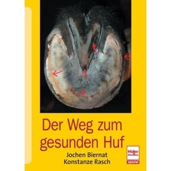 Der Weg zum gesunden Huf