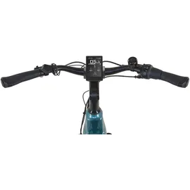 Prophete Geniesser 5.0 28 Zoll RH 52 cm Blau