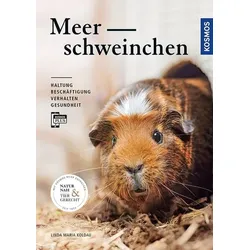 Meerschweinchen