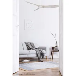 Eco Airscew 152, Ventilator in Weiß und Antikweiß ohne Licht, CasaFan