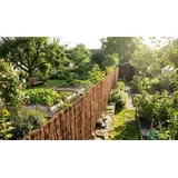 Heidekrautmatte - aus Heidekraut in extrastarker Ausführung - rustikale Heidematte in 3 m Breite- natürliche Sichtschutzmatte für Garten & Balkon
