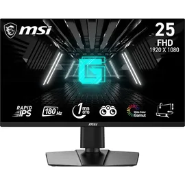 MSI G255PFDE E2 25" schwarz