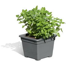 Delta Gartenholz GmbH & Co. KG Pflanzkasteneinsatz 32 x 32 x 26 cm Anthrazit