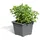 Delta Gartenholz GmbH & Co. KG Pflanzkasteneinsatz 32 x 32 x 26 cm Anthrazit