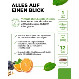 Vit4ever OPC Traubenkernextrakt + Vitamin C Kapseln 365 St.