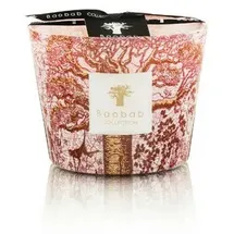 BAOBAB Sacred Trees Woroba Duftkerze 10 cm