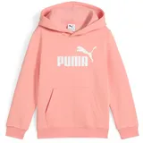 Puma Essentials No. 1 Logo Fleece Hoodie Jungen 18 pink fruit 116