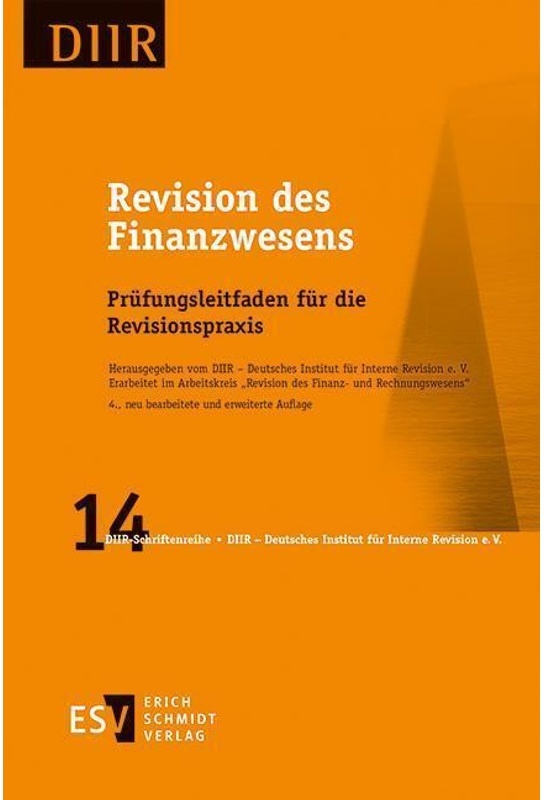 Revision Des Finanzwesens - DIIR - Arbeitskreis "Revision des Finanz- und Rechnungswesens", Kartoniert (TB)