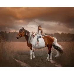 Fototapete PAPERMOON "PINTO PONY-PFERD MÄDCHEN SCHECKE TIER MINI INDIAN", bunt, B:4,00m L:2,60m, Vlies, Tapeten