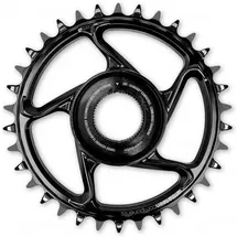 e*thirteen e*spec Direct Mount Kettenblatt 32