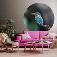 wall-art WallArt Fototapete The Kingfisher Rund 190 cm
