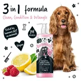 Bugalugs Hunde-Shampoo, 3in1 Conditioner Entwirrer – Himbeer- und Zitronen-Hundeparfüm für stinkende Hunde, bestes Hundemantel, Welpen-Shampoo, professionelles Hundezubehör für