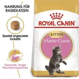 Royal Canin Kitten Maine Coon 4 kg