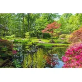 Papermoon Fototapete GARTEN-BLUMEN BÄUME PFLANZEN STEINE WALD PARK BLÜTEN bunt 3,50 m x 2,60 m