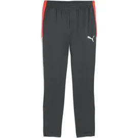Puma Herren Sporthose IndividualLIGA Training Pants, Größe XXL in Grau Shadow Gray-PUMA White-Glowing Red