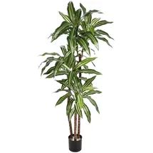 aplanta Künstlicher Drachenbaum - Nico | cm