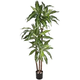 aplanta Künstlicher Drachenbaum - Nico | cm