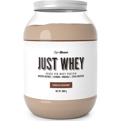 GymBeam Just Whey Molkenprotein mit Verdauungsenzymen Geschmack Chocolate Milkshake 1000 g