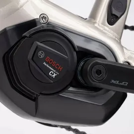 Ghost E-Teru Universal 2024