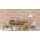 Rasch Textil b.b home passion VI Vinyltapete 26 cm x 10 m 1 St beige 860610