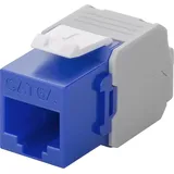 goobay Keystone Modul RJ45 CAT 6A UTP 500 MHz blau