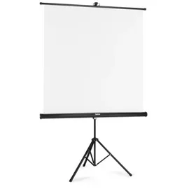 Hama 00021575 Projektionsleinwand 1:1