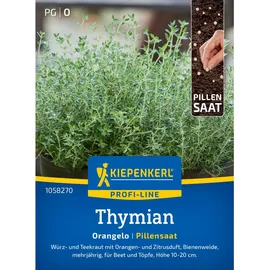 Kiepenkerl Profi-Line Thymian Orangelo Pillensaat