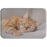 A.Monamour rutschfest Saugfähig Waschbar Badematte Süße Schlafende Katze Mit Tier Motiv Weich Flanell Badezimmerteppich Badteppich Badvorleger Badewanne Dusche Duschvorleger