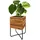 Proregal Pflanzkasten 33 x 60 x 33 cm Braun