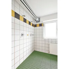 Andiamo Eckleiste Grün 43 cm 2 Stück