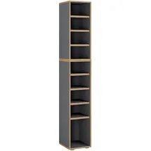 MID.YOU Salia 30 x 183 x 33 cm 9 Fächer anthrazit