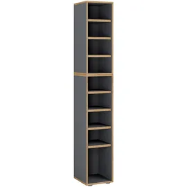 MID.YOU Salia 30 x 183 x 33 cm 9 Fächer anthrazit