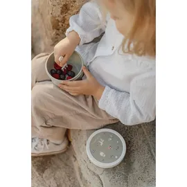 Mepal Campus Fruchtbox 300 ml mit Gabel Fairy Wonders