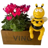 of Gartenfiguren süsse Bienen Kantenhocker im Blumenbeet - Deko Figuren Tierfiguren Biene (Groß, 25cm)