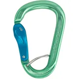 AustriAlpin HMS Rondo Alu Slide-Autolock Selfie - Karabiner, - Green