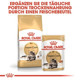 Royal Canin Adult Maine Coon 10 kg