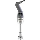 Robot Coupe Mini MP 190 Stabmixer