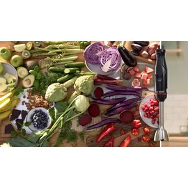 Bosch ErgoMaster MSM4B621 Stabmixer