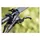 Shimano M8100