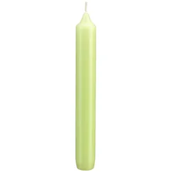 Kopschitz Kerzen Kerzen Leuchterkerzen Kiwi, 190 x 21 mm, 48 Stück