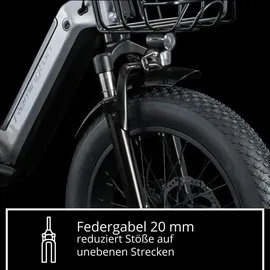 remington-fahrrad Remington R100 E Bike Dreirad 20 Zoll Elektrodreirad mit tiefem Einstieg klappbar