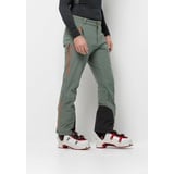 ALPSPITZE Tour Pants Hedge Green 50 50