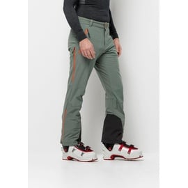 Jack Wolfskin ALPSPITZE Tour Pants M Hedge Green 50 - 50