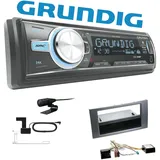 Grundig Radio Bluetooth DAB+ für Ford Transit 2006-2013 dunkelsilber/anthrazit