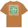 QUIKSILVER SERENITY SPLASH T-Shirt 2026 tobacco brown - XL