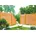 SUNLINE-Serie 180 180 Kiefer/Fichte