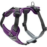 Hunter DIVO Hundegeschirr, M, 56-73 cm, violett/grau