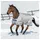 Bucas Power Turnout Extra Pferdedecke 300g 135-183 cm Grau/Silber