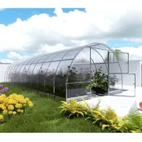 meistro kodas Klasika Easy Gewächshaus verzinkt Transparent Polycarbonat 6 mm 24 m2